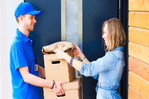 Document And Parcel Courier Charges To Germany From Hyderabad